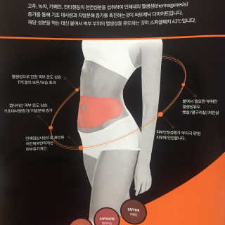 스파겔패치42 — 4.5점을 준 리뷰어가 2018년 4월 올린 사용 사진