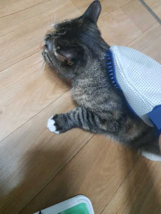 잉뎨님이 올린 리뷰 사진 1