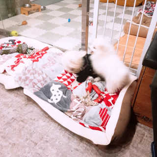 쩰리🐾님이 올린 리뷰 사진 2