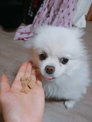 쟈스민님이 올린 리뷰 사진 1