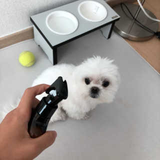 율리킴님이 올린 리뷰 사진 4