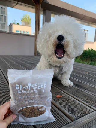 야삐2님이 올린 리뷰 사진 1