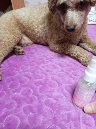 정현님이 올린 리뷰 사진 2