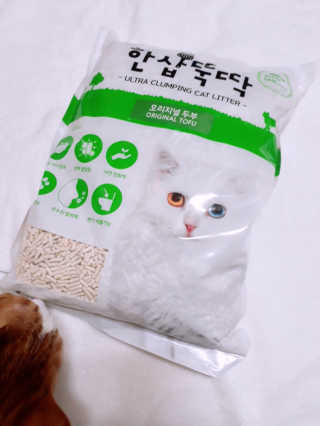 [펫토리아] BEST 고양이두부모래 6L 한삽뚝딱 — 4점을 준 리뷰어가 2019년 2월 올린 사용 사진