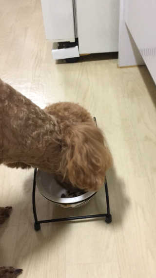 김주연님이 올린 리뷰 사진 3