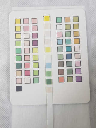 나란여자🤦‍♀️🤷‍♀️💁‍♀️님이 올린 리뷰 사진 2