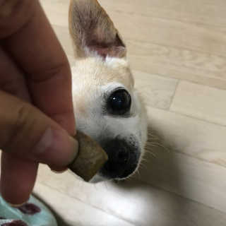 나니누네노님이 올린 리뷰 사진 3