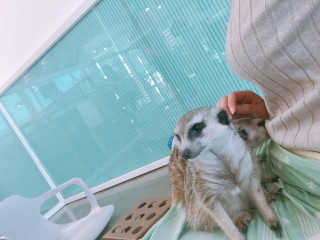 YoonheeSeo님이 올린 리뷰 사진 4