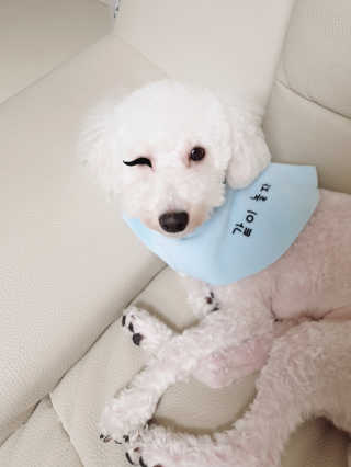 쁘닝공주님이 올린 리뷰 사진 2