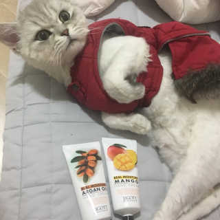 단발소녀님이 올린 리뷰 사진 1