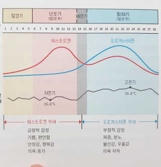 AnaisSH님이 올린 리뷰 사진 2