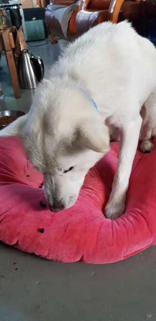 Jenny님이 올린 리뷰 사진 2