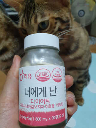 우기님이 올린 리뷰 사진 2