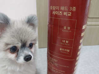 정현님이 올린 리뷰 사진 3