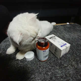 얼리어탑터님이 올린 리뷰 사진 3