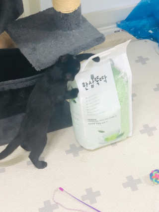 임혜빈님이 올린 리뷰 사진 2