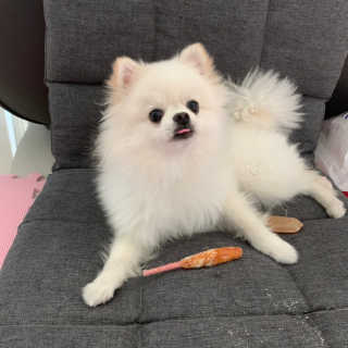 jee님이 올린 리뷰 사진 2