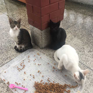 단발소녀님이 올린 리뷰 사진 1