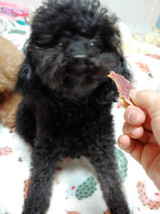 yoniyo99님이 올린 리뷰 사진 1