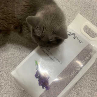 [펫토리아]한삽뚝딱 프리미엄 고양이 두부모래 — 5점을 준 리뷰어가 2019년 8월 올린 사용 사진