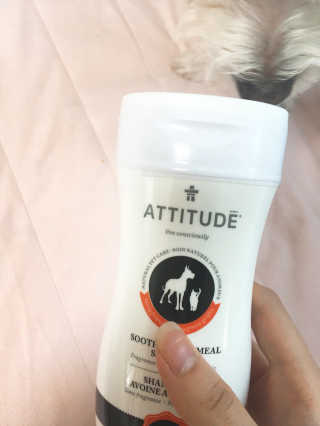 짓우님이 올린 리뷰 사진 2