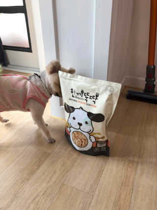 [펫토리아] 맛도 영양도 BEST 한끼뚝딱 강아지 사료 — 5점을 준 리뷰어가 2019년 4월 올린 사용 사진