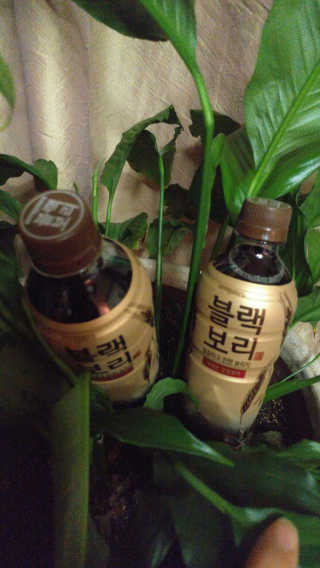 나비니님이 올린 리뷰 사진 2