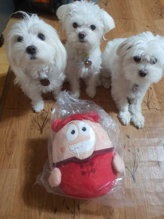 공팔리터님이 올린 리뷰 사진 1