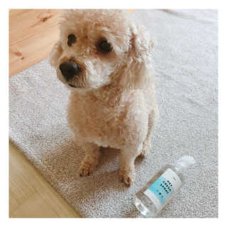 박정우님이 올린 리뷰 사진 1