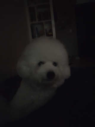 heeee님이 올린 리뷰 사진 3