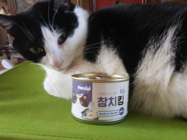 동원 참치킹 고양이 캔 12개입 리뷰 사진
