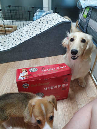 Uhhhhh님이 올린 리뷰 사진 1