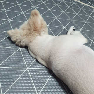 쭈뭉펑님이 올린 리뷰 사진 3