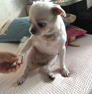 띠로링님이 올린 리뷰 사진 3