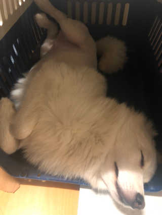 밍님이 올린 리뷰 사진 3