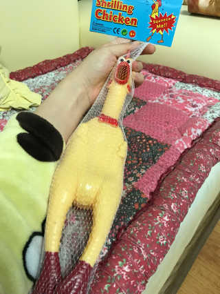 꼼냥이님이 올린 리뷰 사진 1