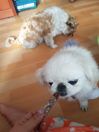 JihyejihyeNam님이 올린 리뷰 사진 4