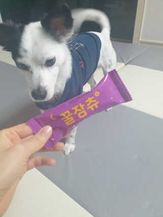 복실이님이 올린 리뷰 사진 3