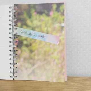연블리님이 올린 리뷰 사진 3