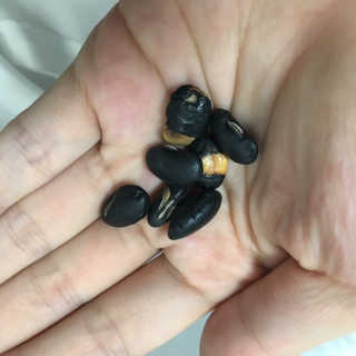 재미있다님이 올린 리뷰 사진 1