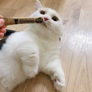 공실이님이 올린 리뷰 사진 3