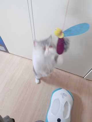 엘카몬님이 올린 리뷰 사진 3