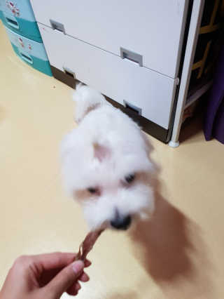 은♥️님이 올린 리뷰 사진 3
