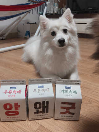 [매일유업] 우유속에 어쩌구_3개 세트 모바일 쿠폰 — 5점을 준 리뷰어가 2019년 10월 올린 사용 사진
