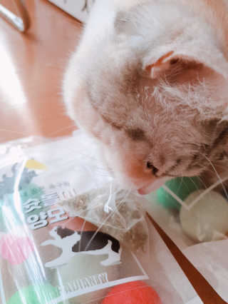 쿠쿠밍님이 올린 리뷰 사진 2