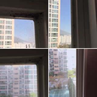 에이쉘님이 올린 리뷰 사진 1