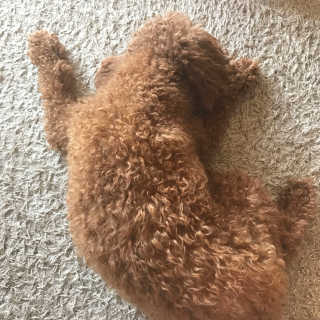 에디게레로님이 올린 리뷰 사진 1