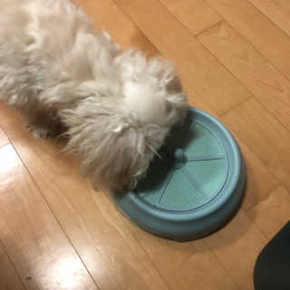 윤블님이 올린 리뷰 사진 3