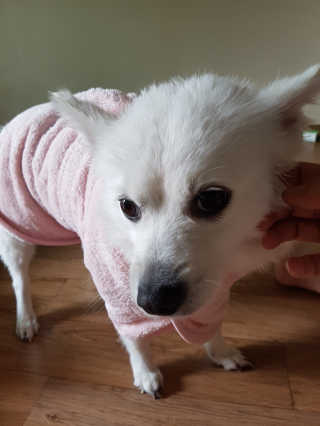 진진님이 올린 리뷰 사진 2