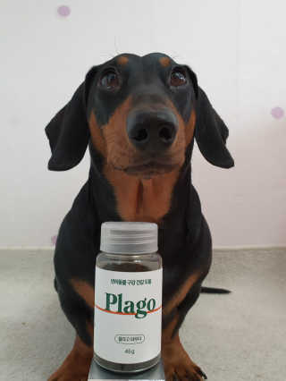 히이잇님이 올린 리뷰 사진 4
